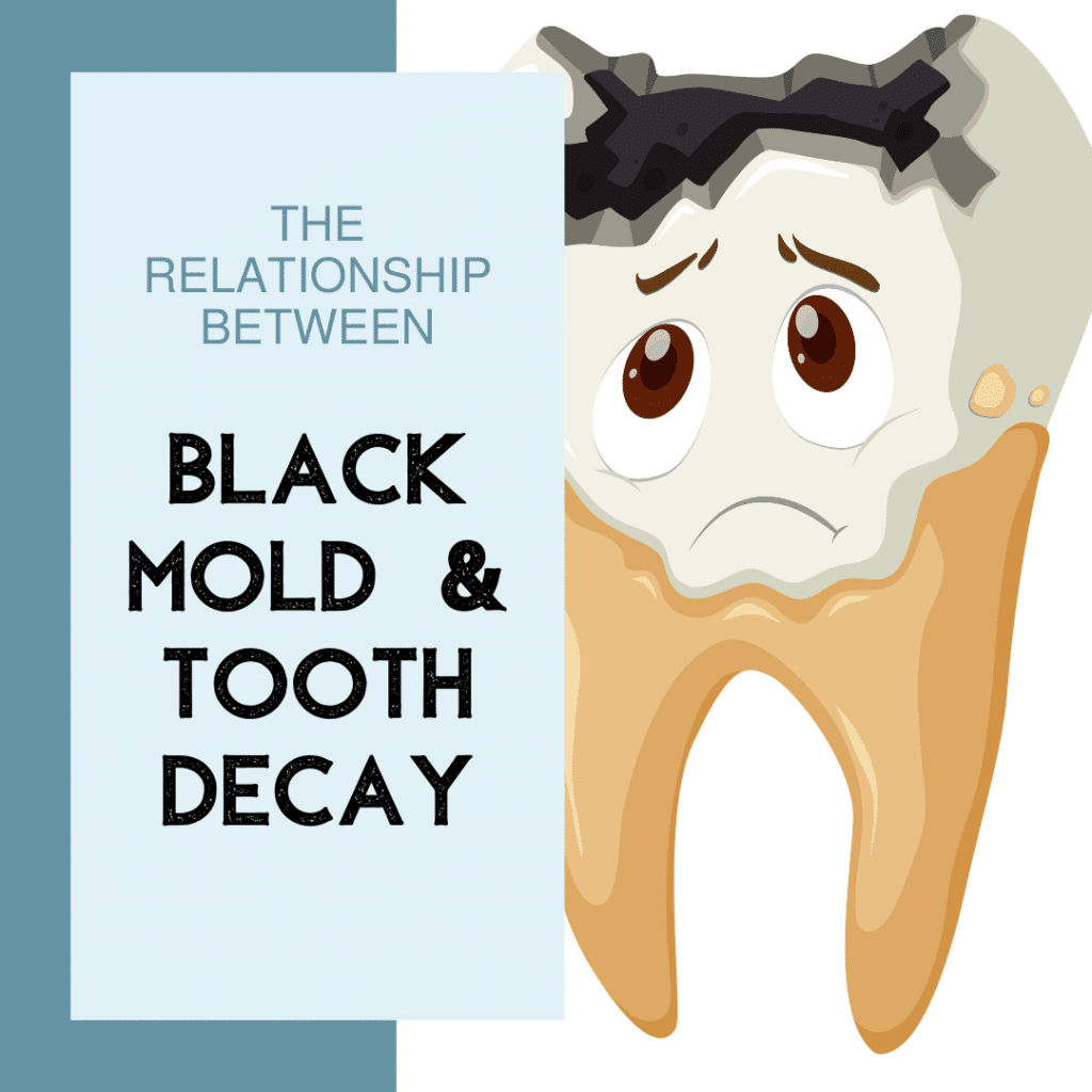 The Relationship Between Black Mold and Tooth Decay