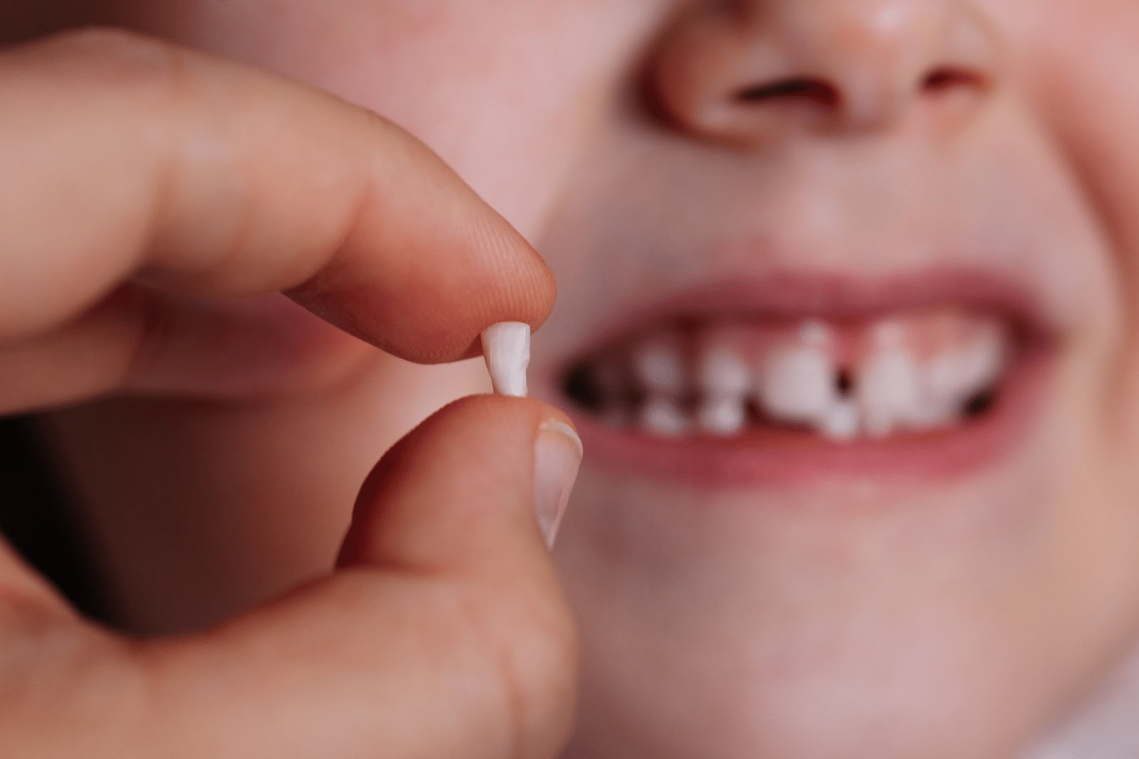 Adult holding healthy white baby tooth with slightly blurred happy child smiling in background