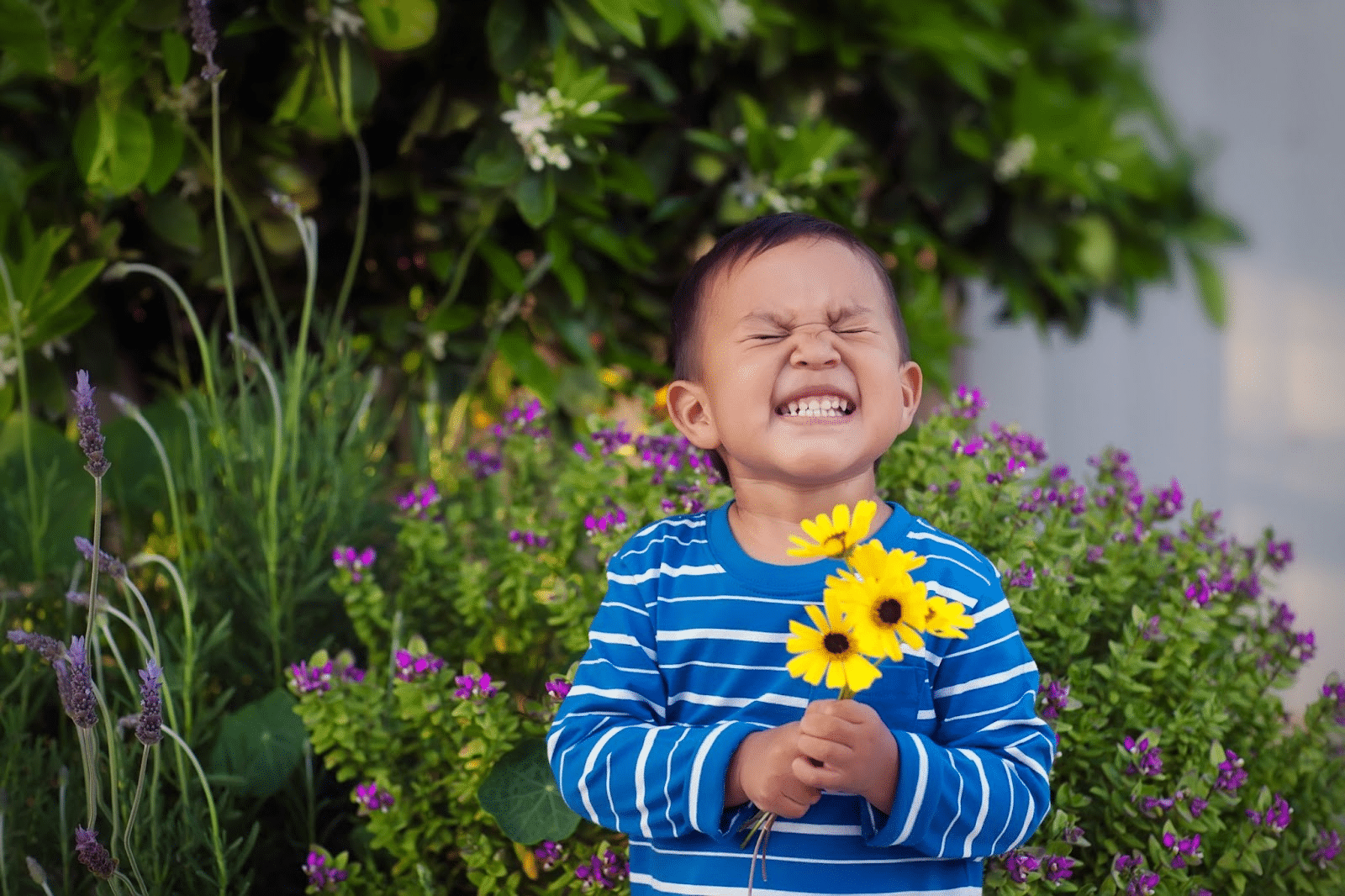 Cute little boy in blue and white striped shirt flashes a big cheesy grin while holding yellow daisies. Other flowers can be seen in the background.